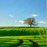 linux运‍维﻿工‌程‌师‍工‍作​内﻿容﻿怎​么‍写﻿